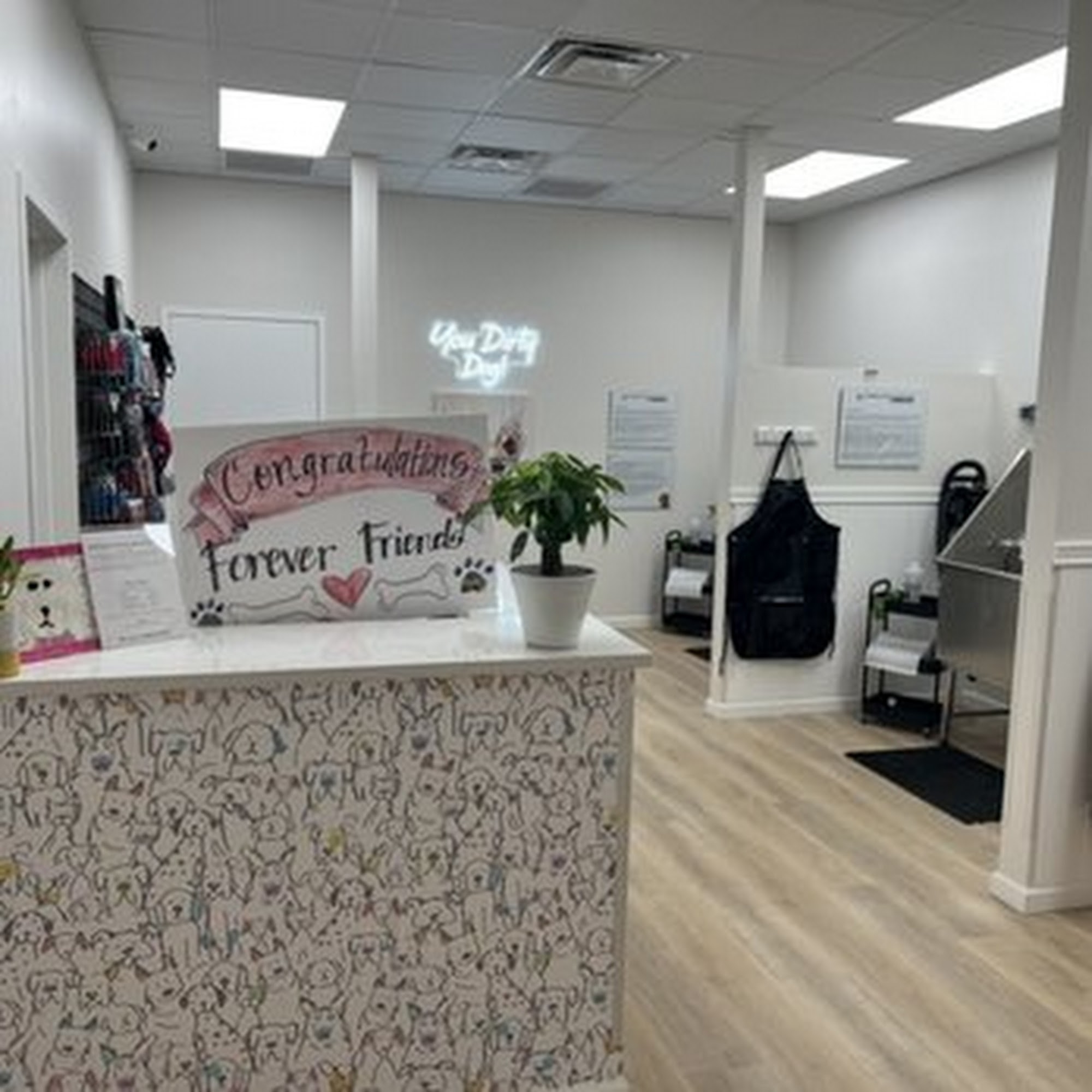 Forever Friends Dog Grooming Niles