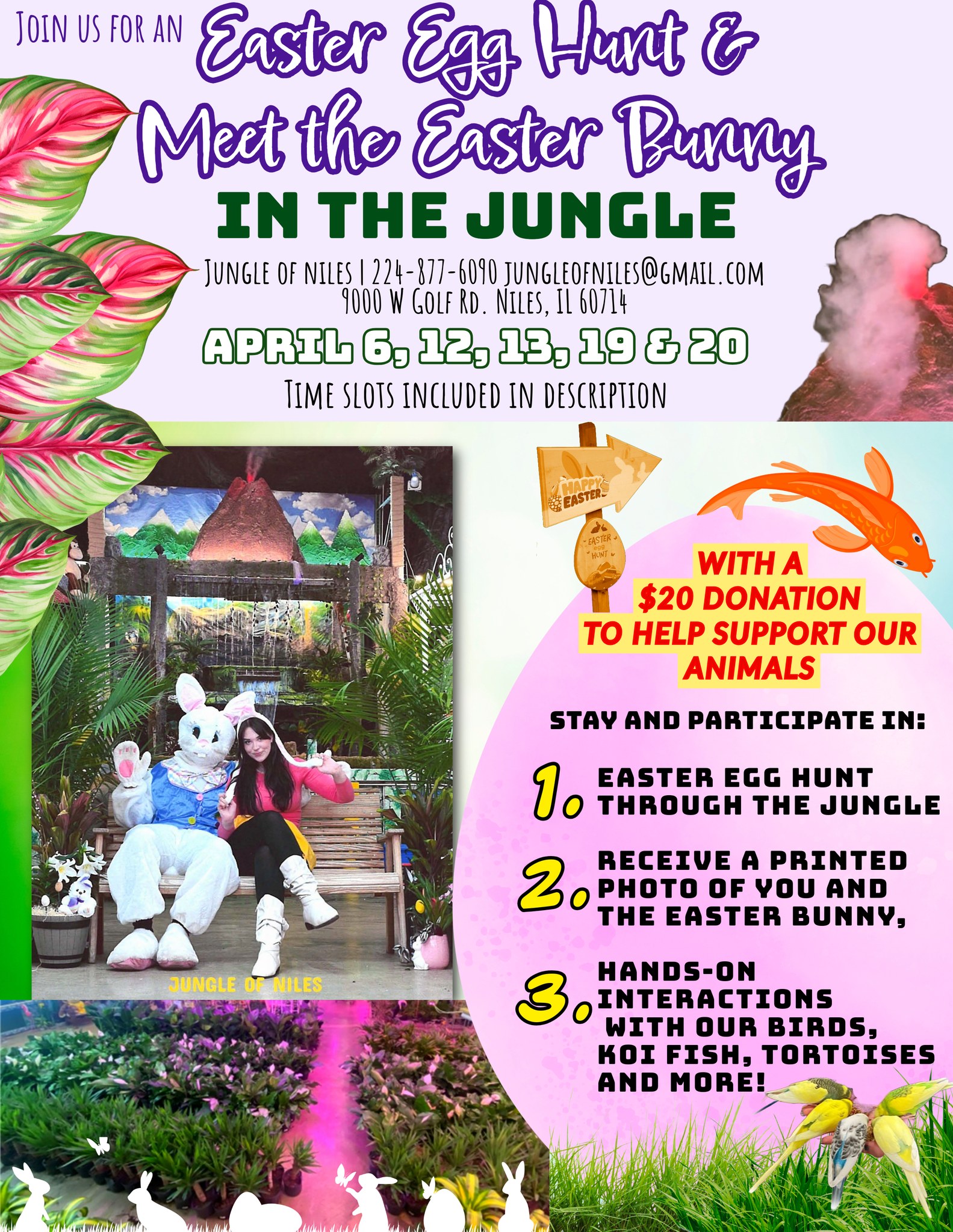 Jungle of Niles 9000 W Golf Rd, Niles, IL 60714