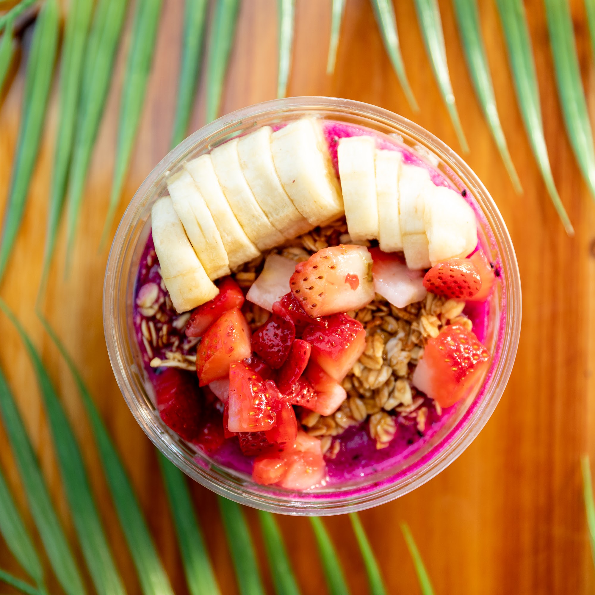 Nautical Bowls - Normal Normal