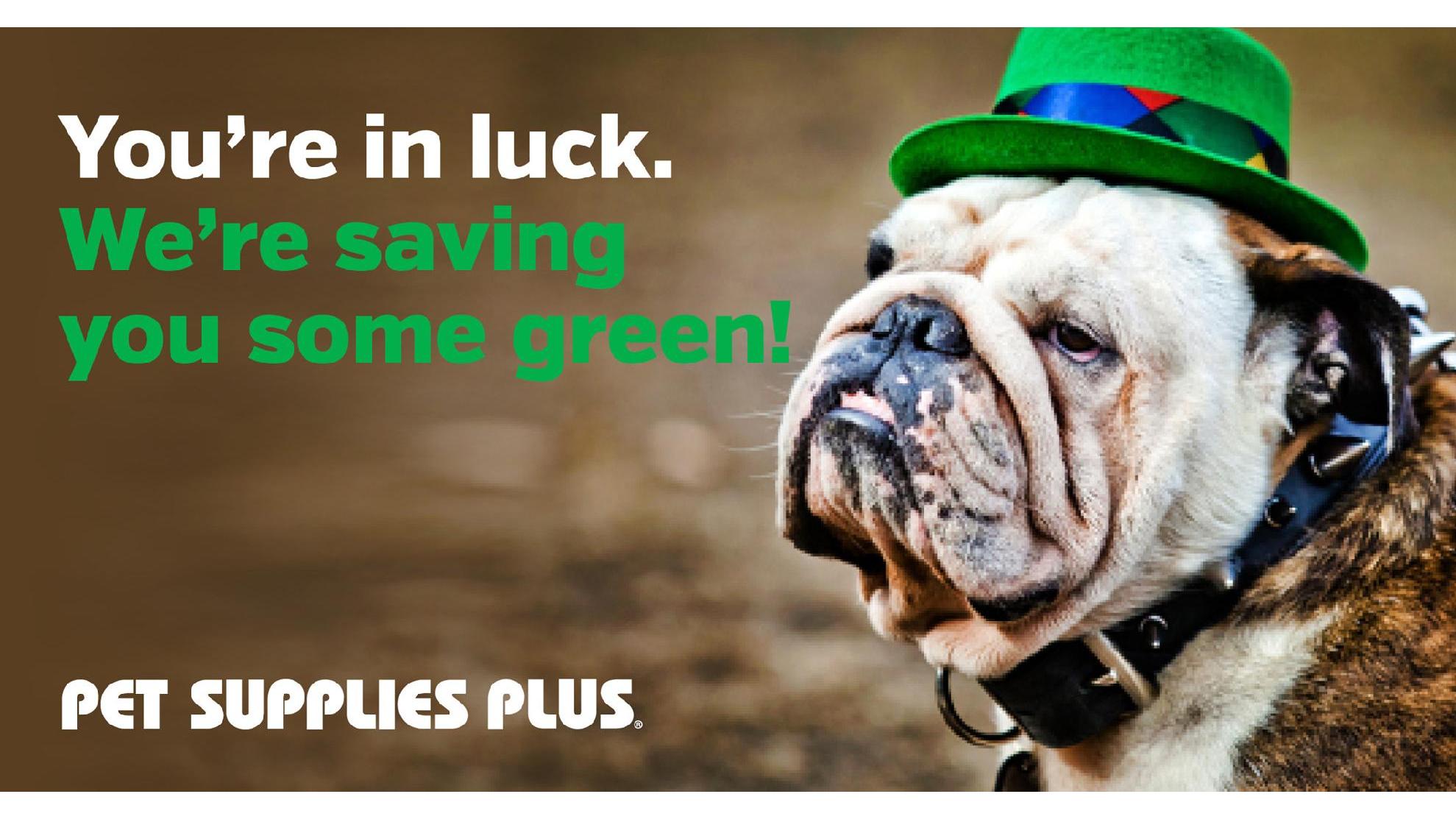 Pet Supplies Plus North Aurora North Aurora