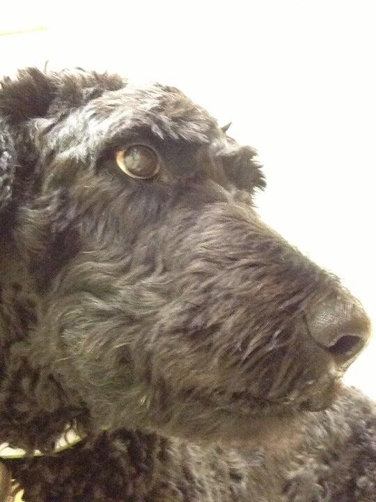 Dr. Scott Jones 1743 Dundee Rd, Northbrook Illinois 60062