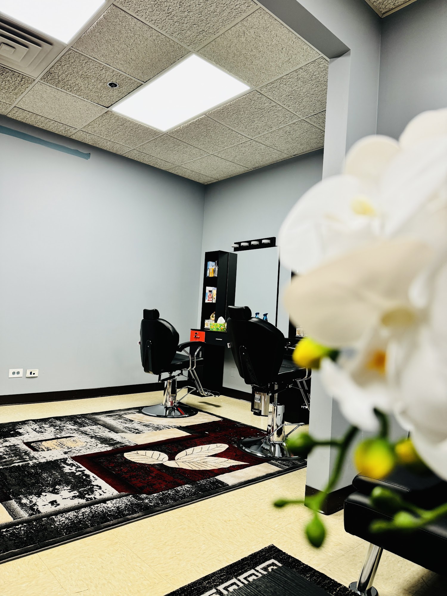Zana's Beauty 300 Skokie Blvd D, Northbrook Illinois 60062