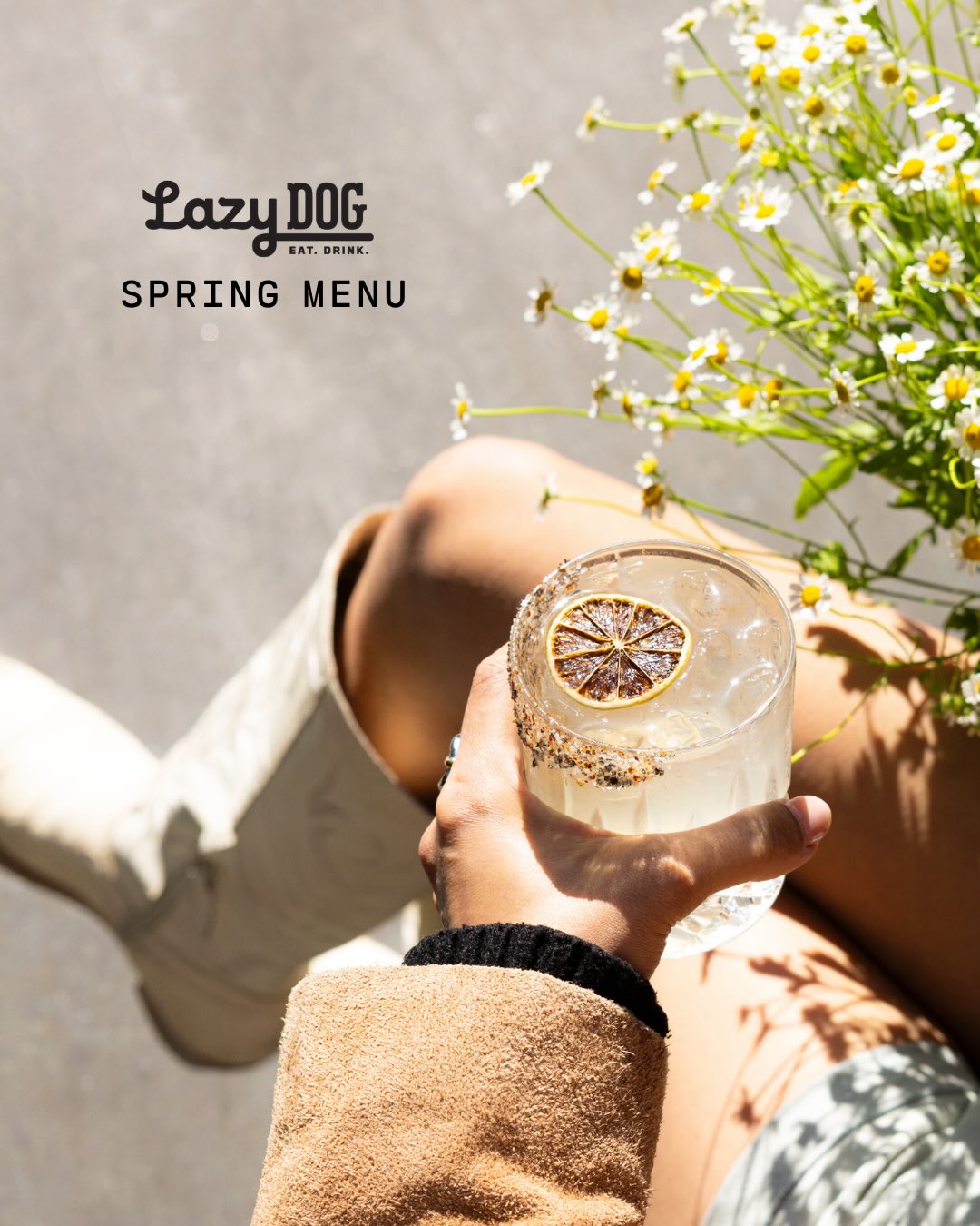 Lazy Dog Restaurant & Bar Oak Brook