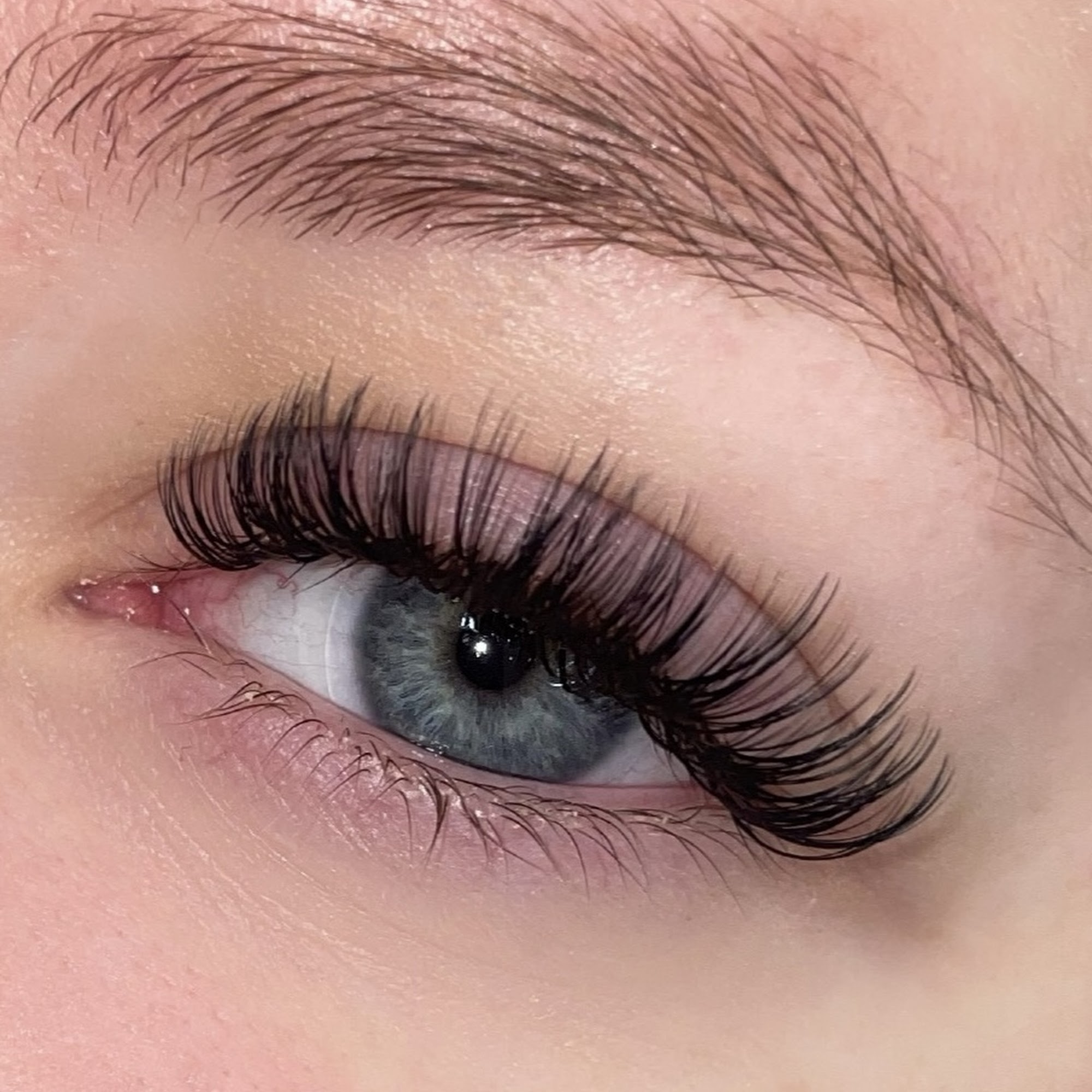 Lashed by VG 3021 Butterfield Rd Ste 123, Oak Brook Illinois 60523