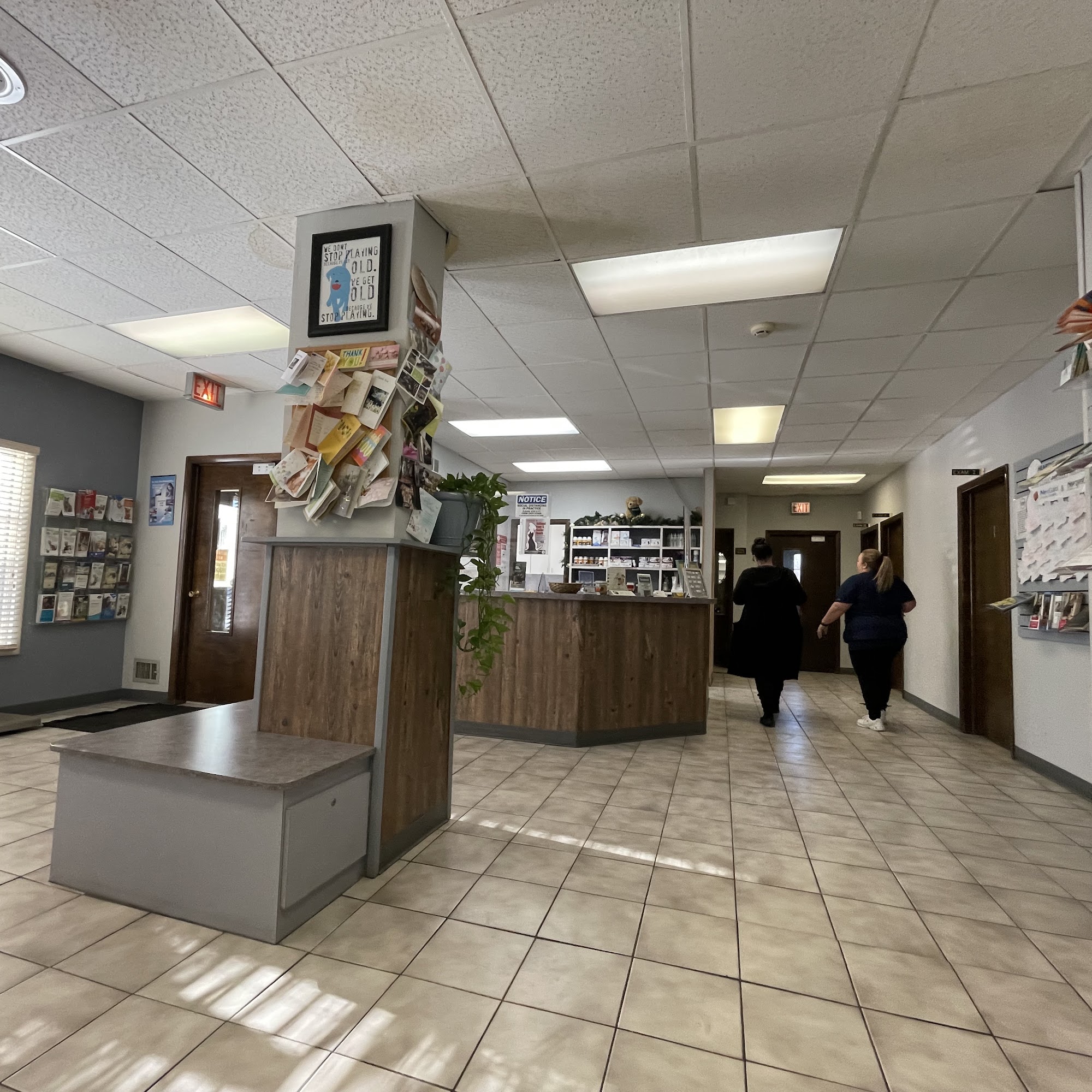 Oak Village Animal Hospital Oak Lawn