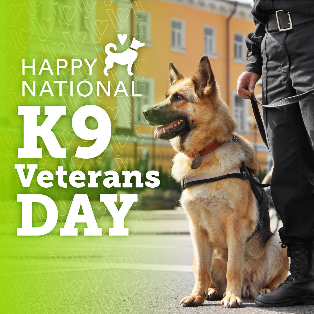 Thrive Pet Healthcare Oak Lawn