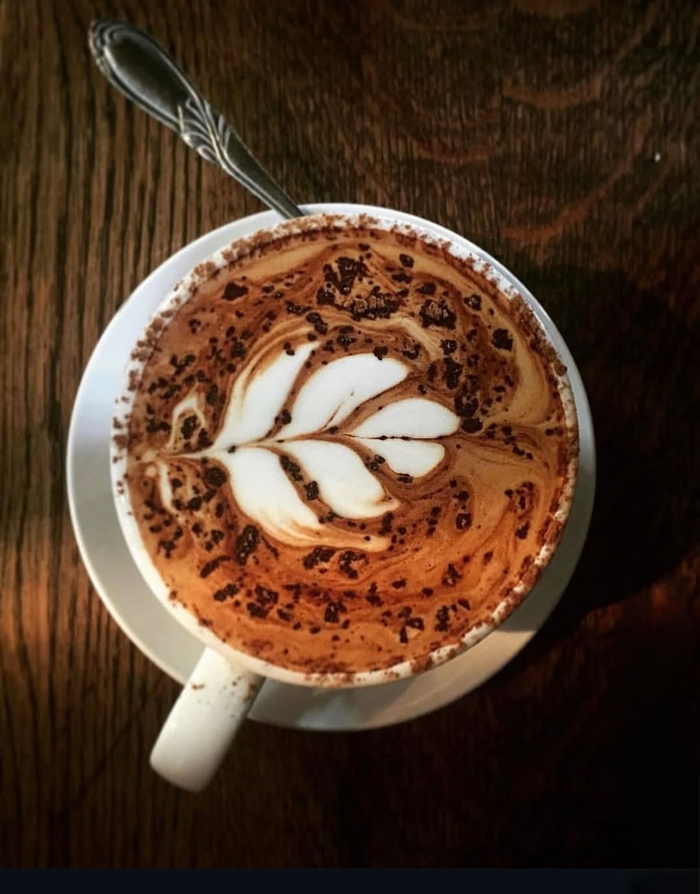 Wise Cup Oak Park