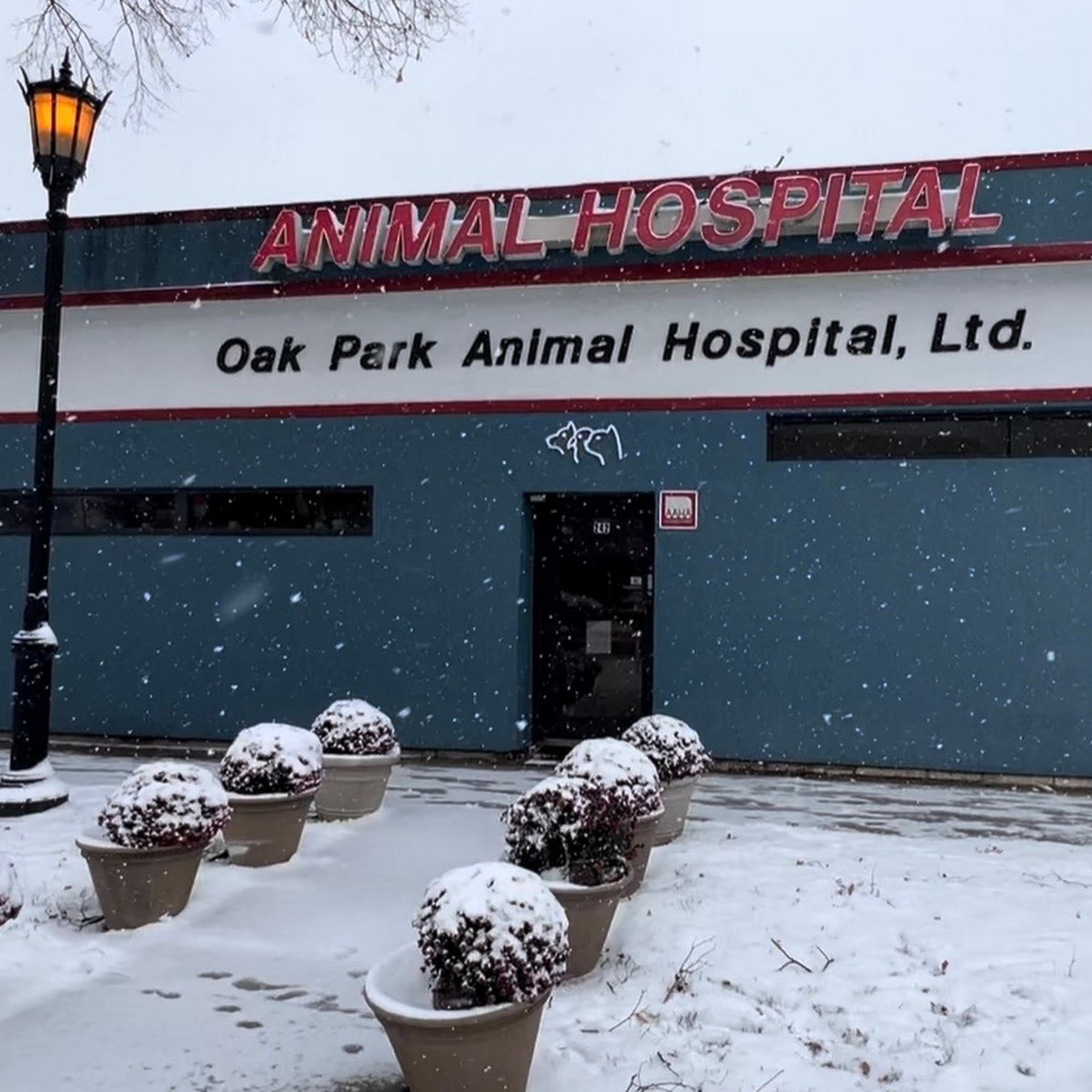 Oak Park Animal Hospital Ltd Oak Park