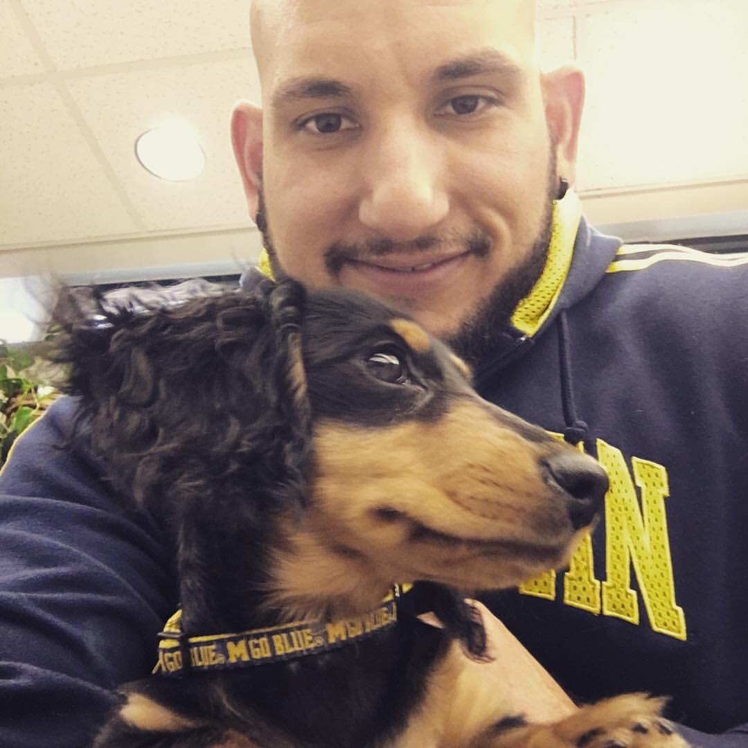 Oak Park Animal Hospital Ltd Oak Park