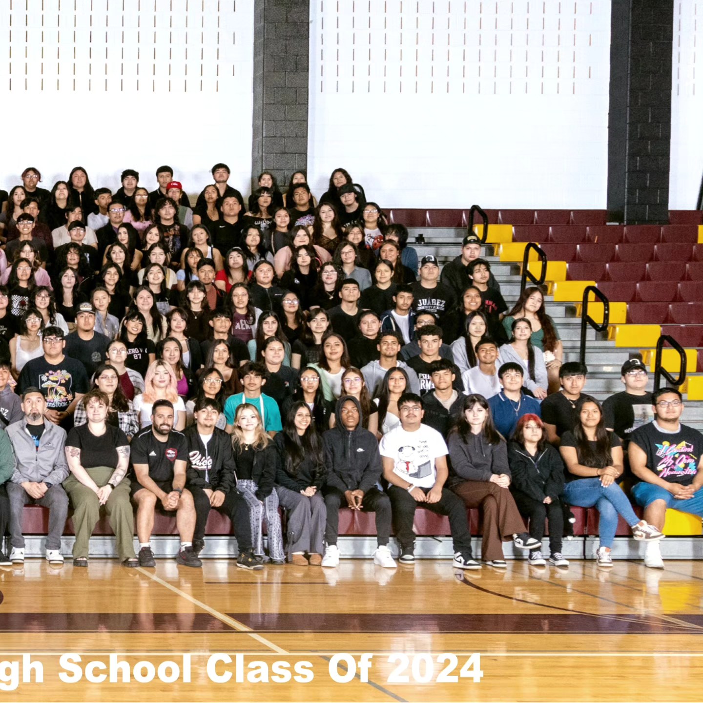 Davis Digital Services