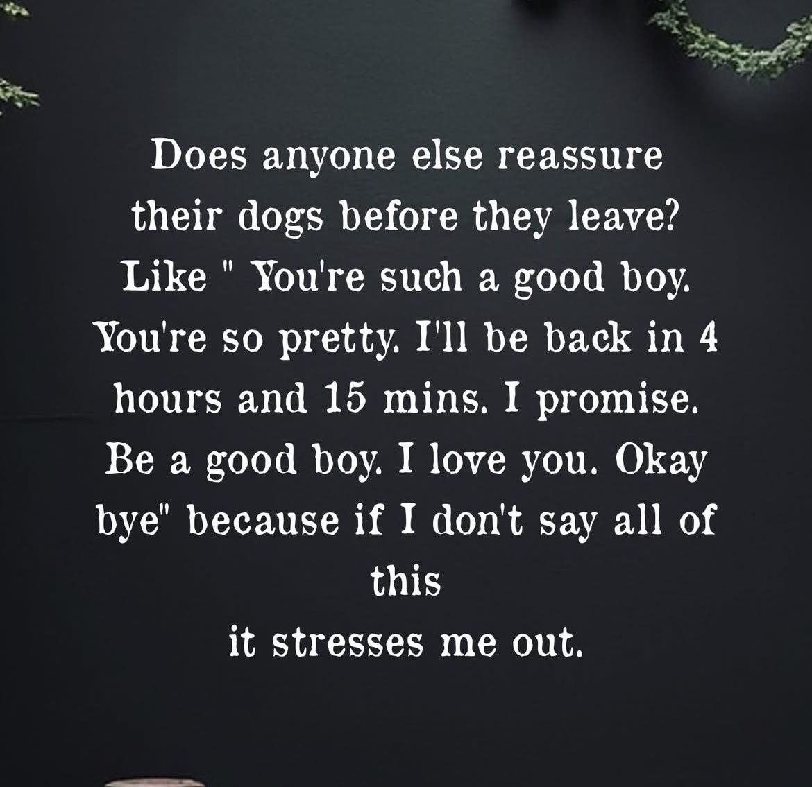 Grooming By Pam O'Fallon