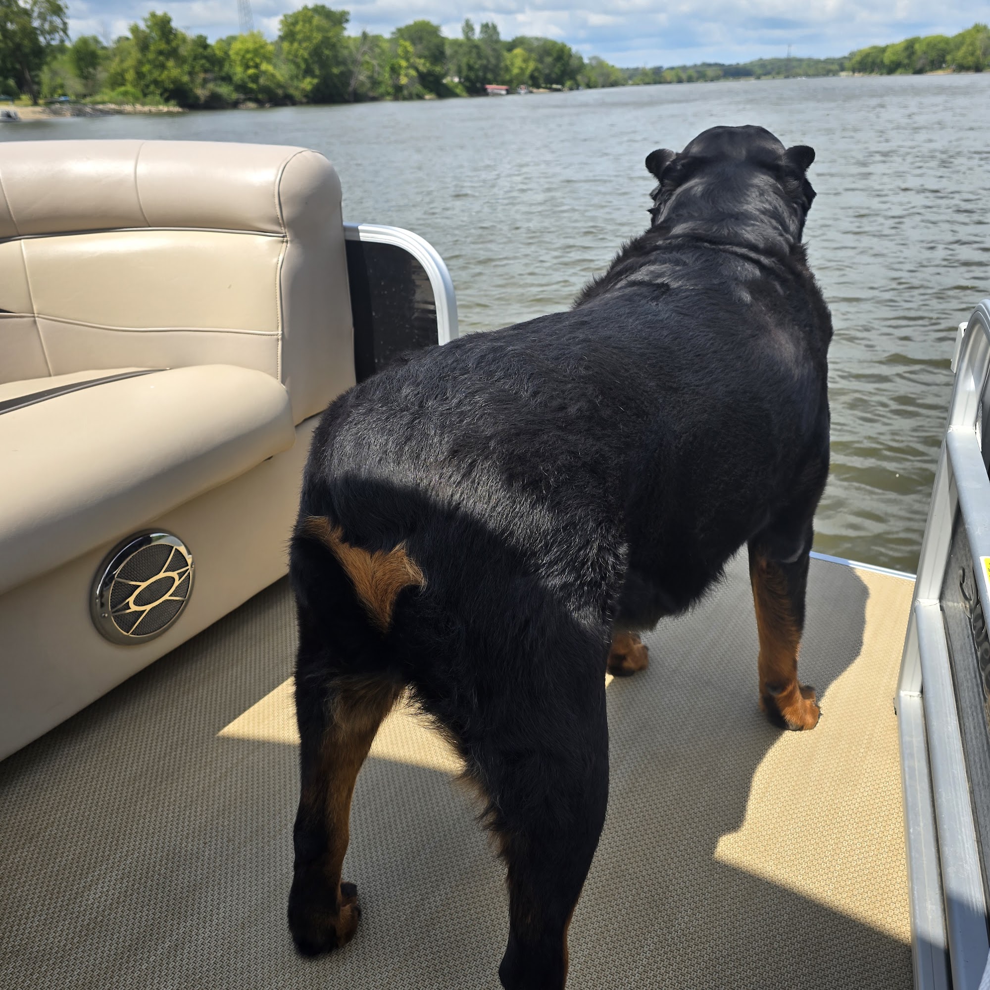 Pines Meadow Veterinary Clinic Oregon
