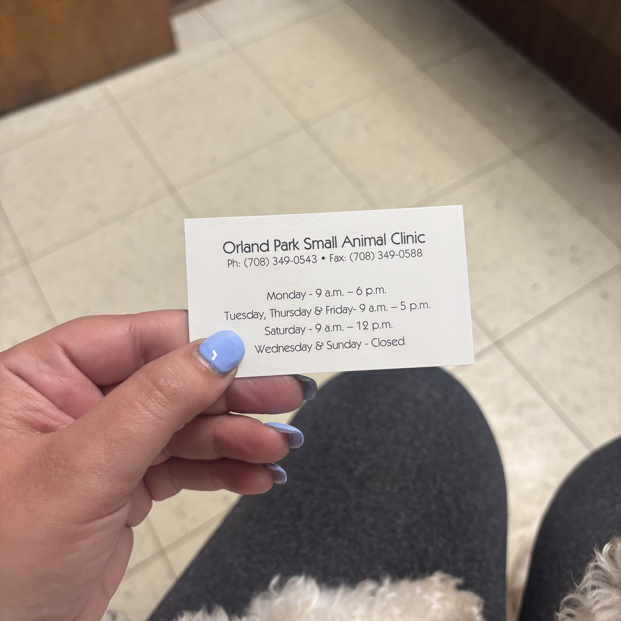 Orland Park Small Animal Clinic Orland Park