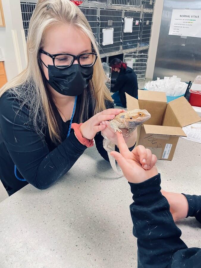 Midwest Animal Hospital Orland Park