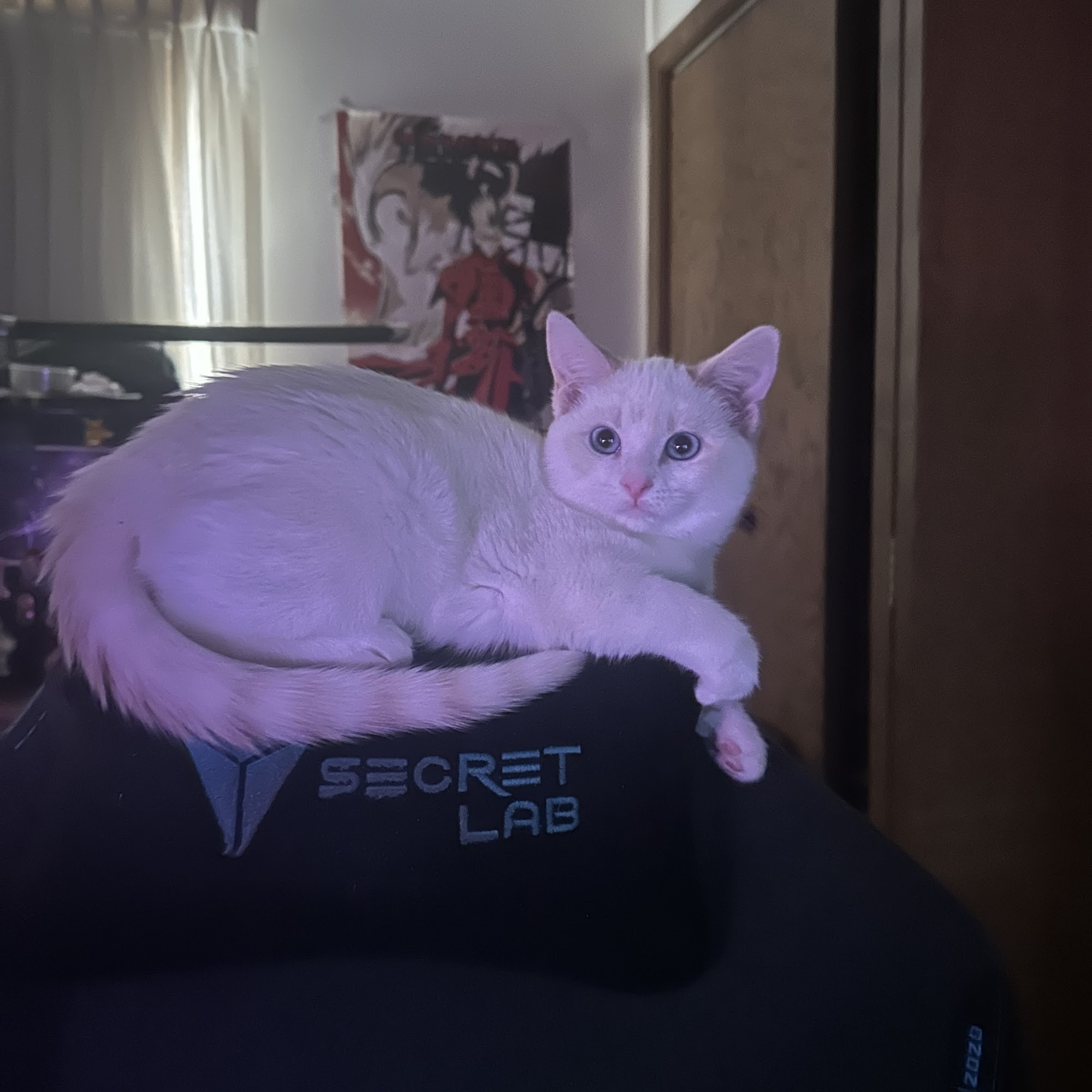 River Heights Veterinary Hospital, A Thrive Pet Healthcare Partner Oswego