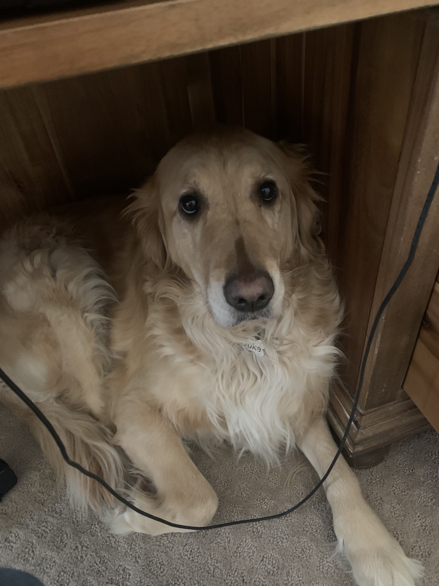 The Pets' Home Oswego