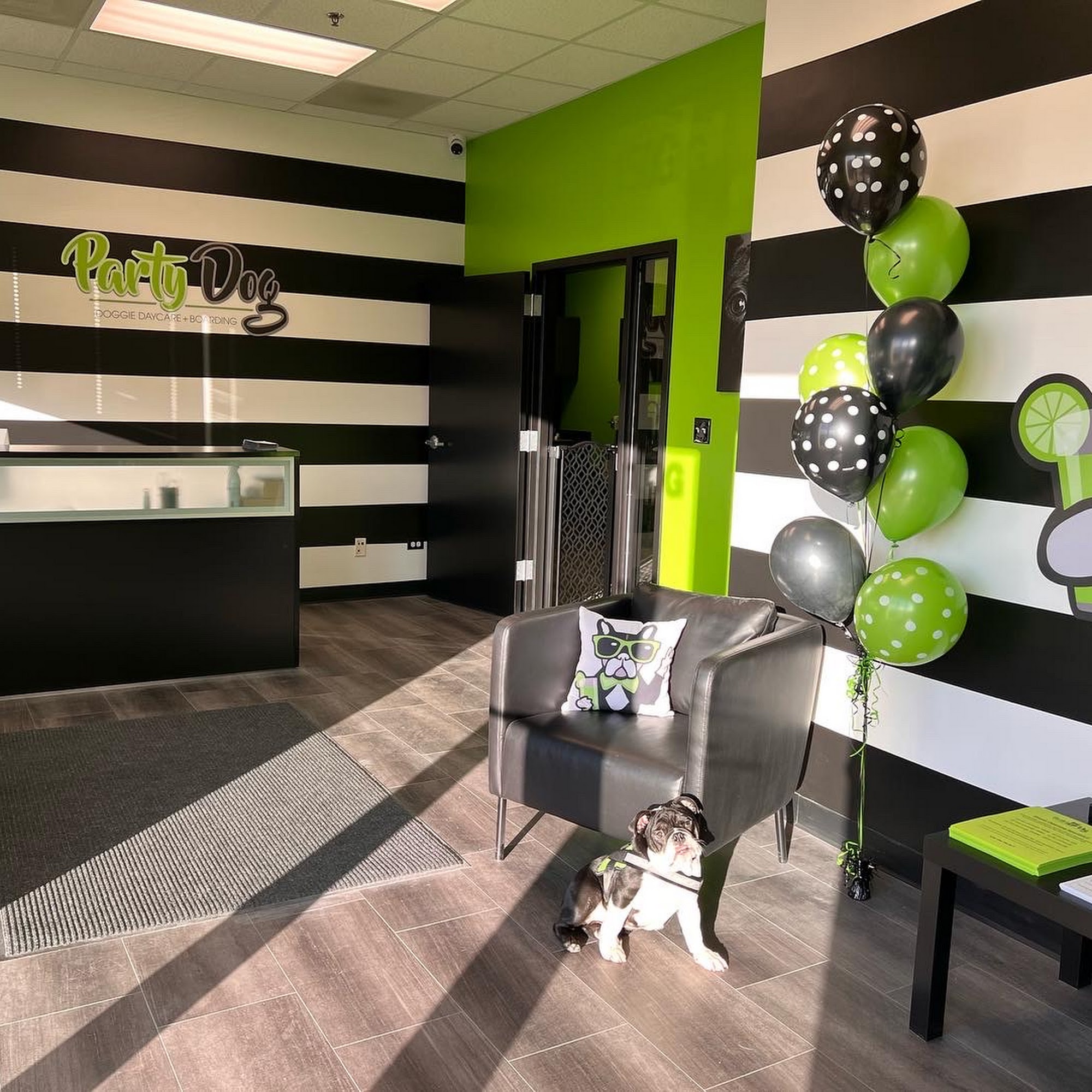 Party Dog Doggie Daycare and Boarding Oswego