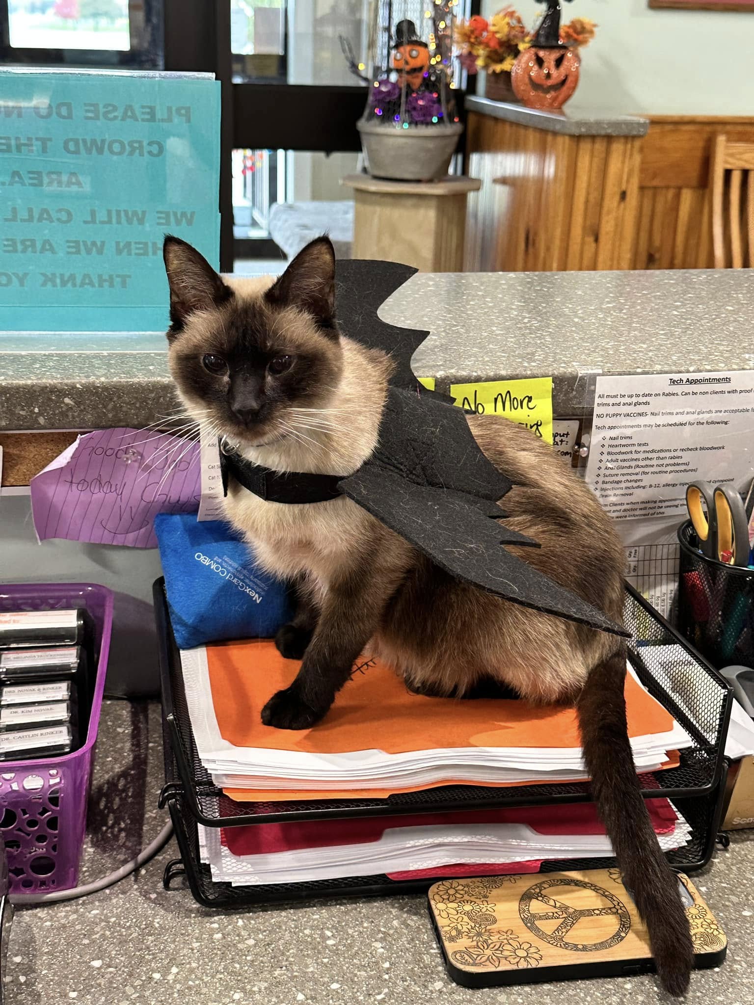 Novak Veterinary Clinic