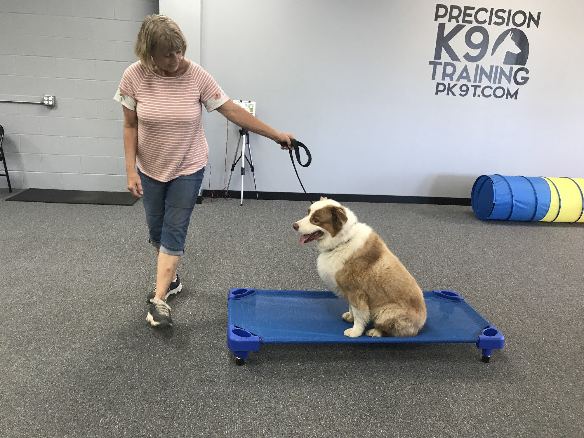 Precision K9 Training, Inc. Ottawa