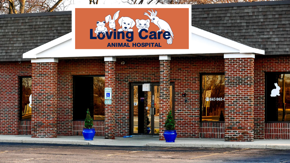 Loving Care Animal Hospital Palatine
