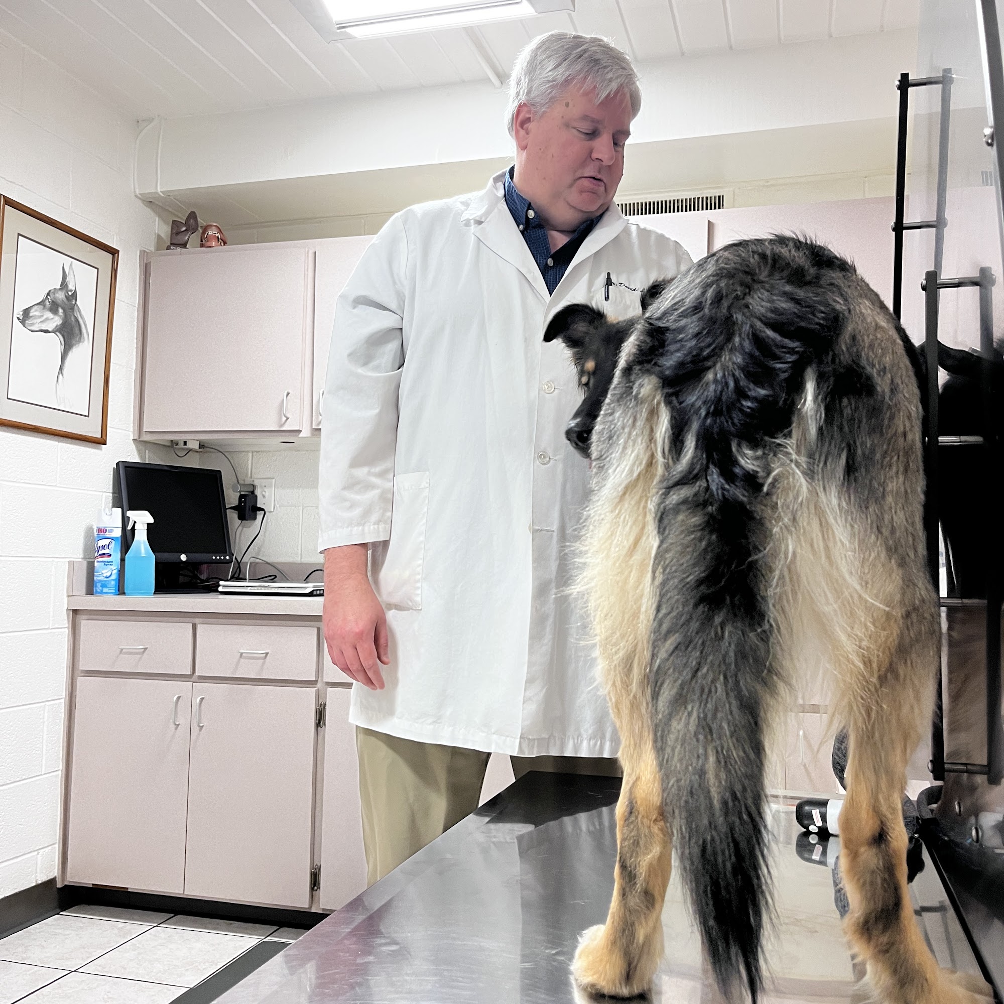 Palatine Animal Hospital Palatine