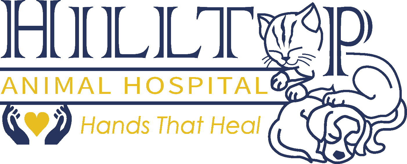 Hilltop Animal Hospital - Experienced Veterinarian in Palatine Palatine