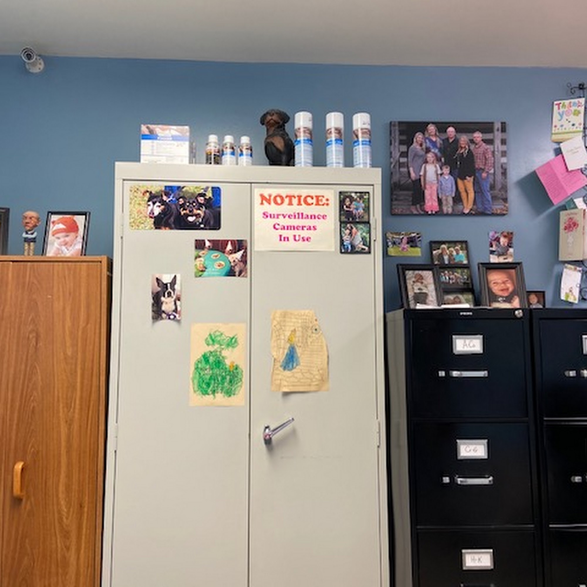 Edgar County Veterinary Service Paris