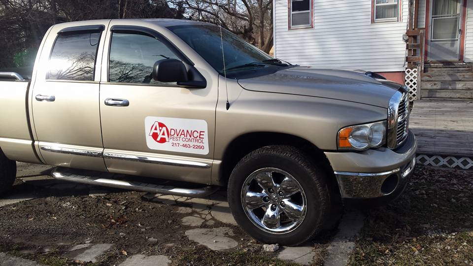 Advance Termite & Pest Control