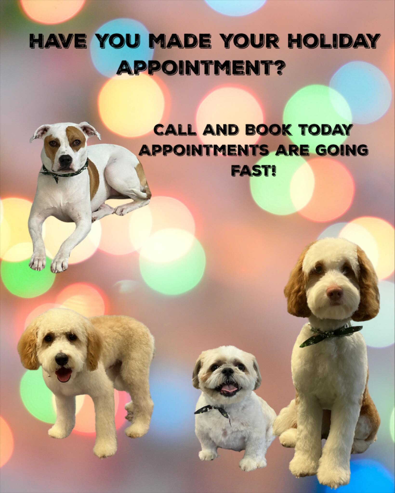 Dog Grooming Art Park Ridge