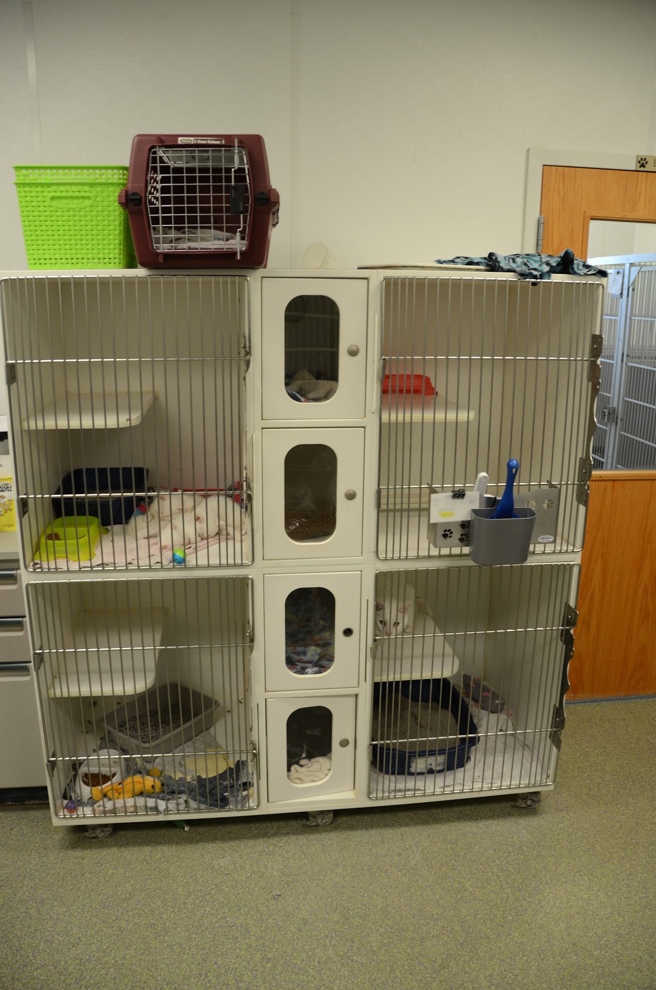 Rescued Heart Animal Hospital Pekin