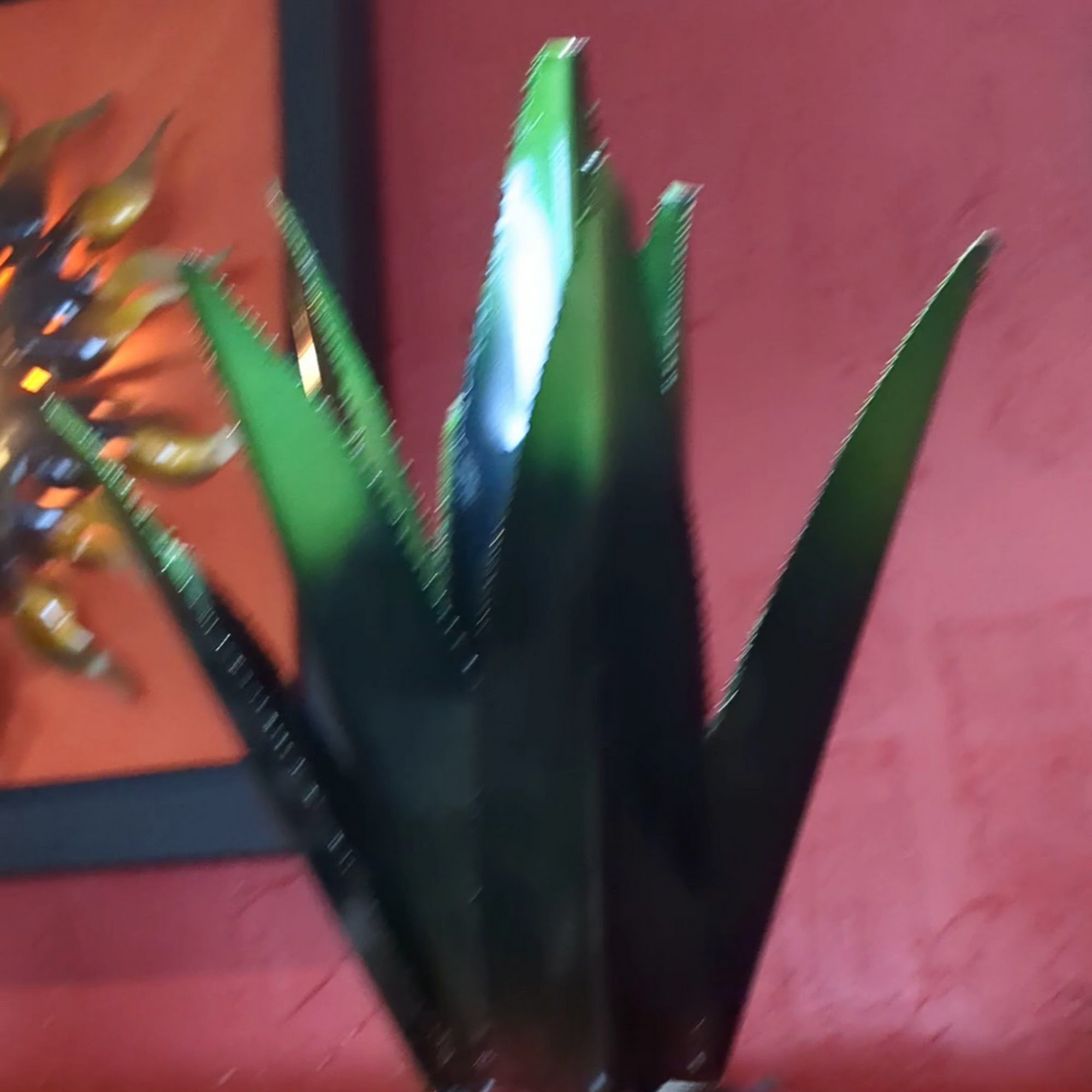 Los Cabos Cantina And Grill Peoria