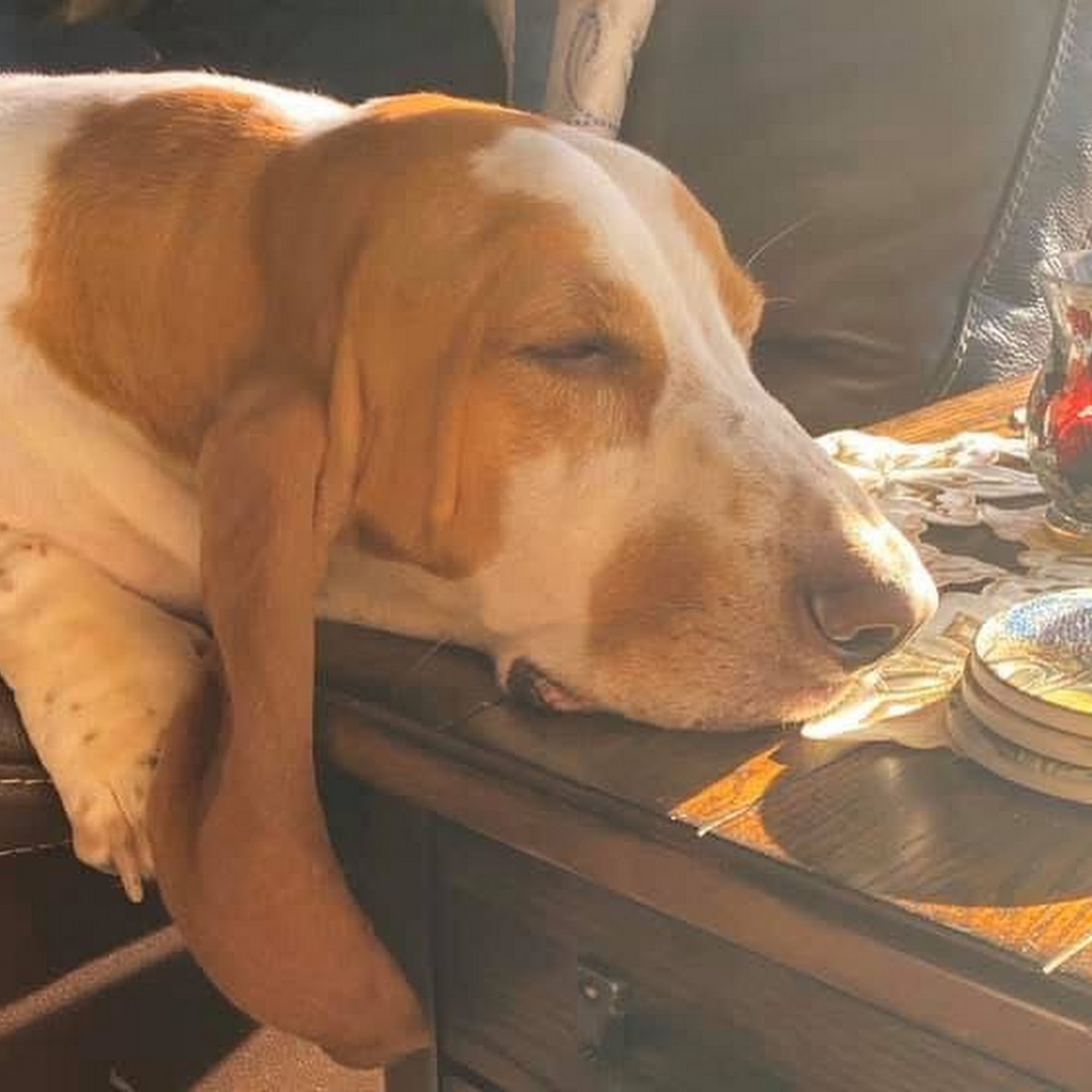 Meadowbrook Veterinary Clinic (South Location) Peoria