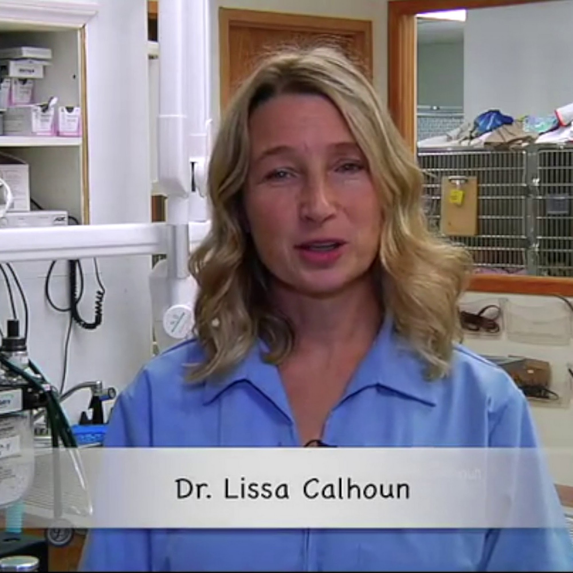 Peoria Area Veterinary Group of Peoria Peoria