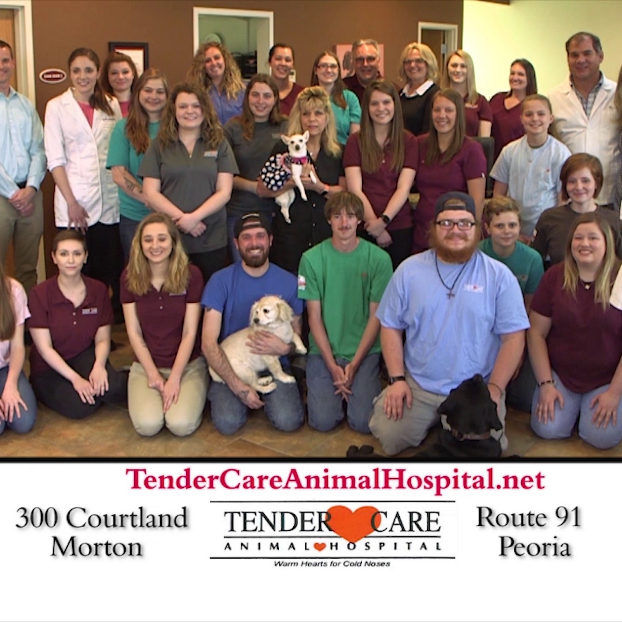 Tender Care Animal Hospital of Peoria Peoria