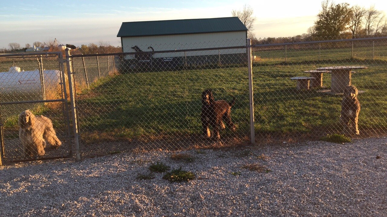 Greater Peoria Pet Resort Peoria