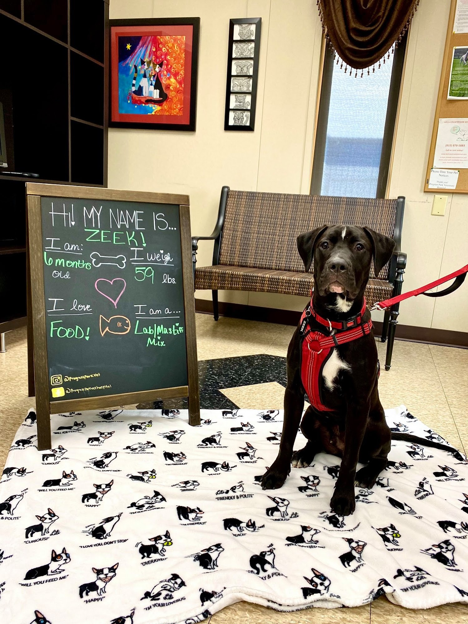 Progress Park Veterinary Hospital Peru
