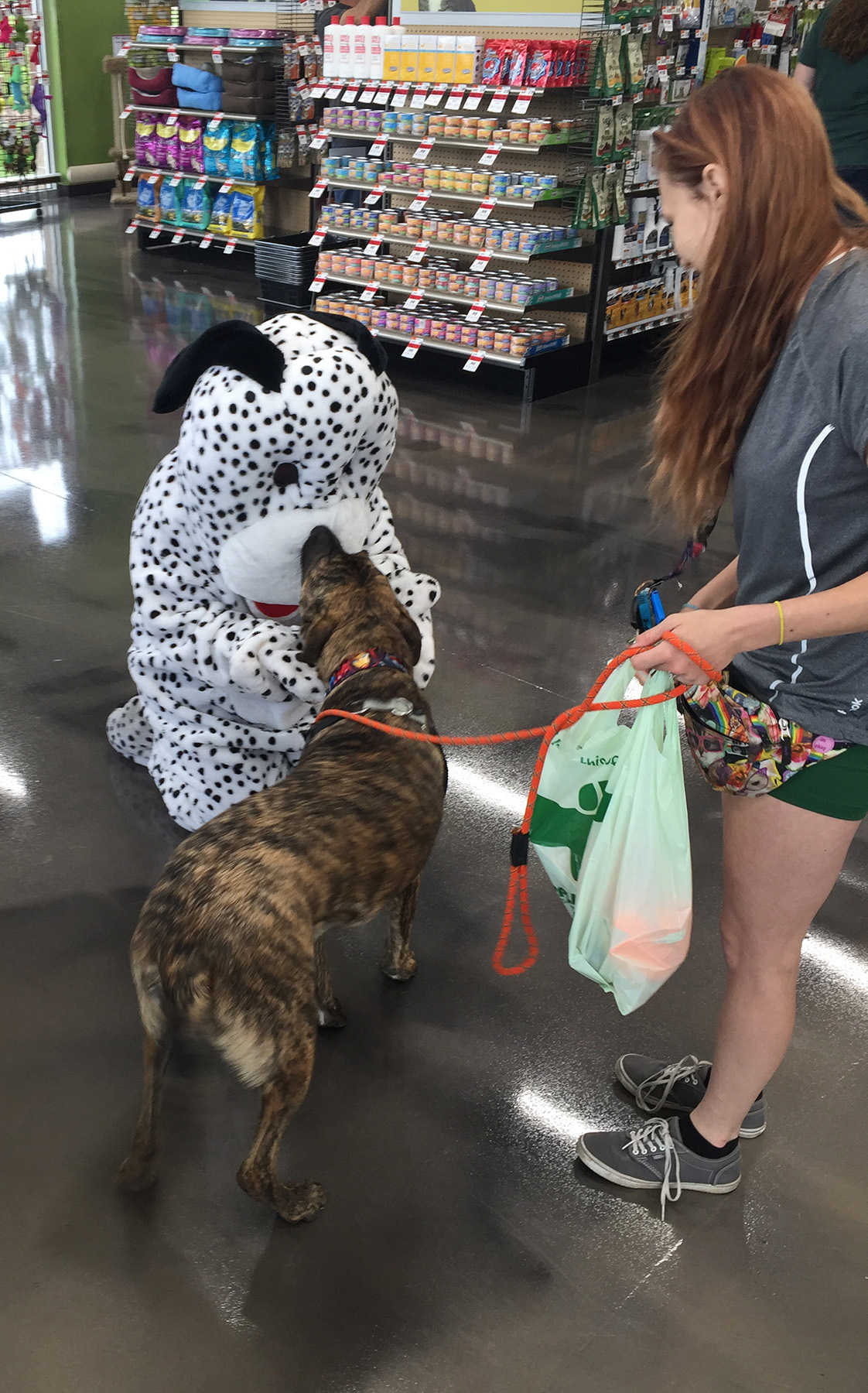 Pet Supplies Plus Plainfield Plainfield