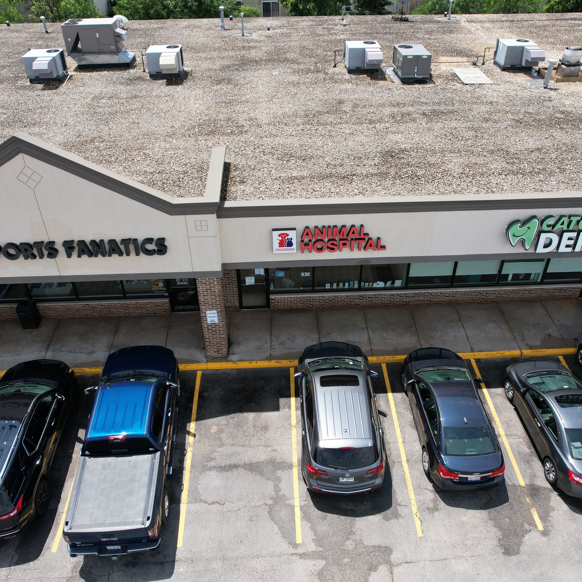 Crossroads Animal Hospital Plainfield