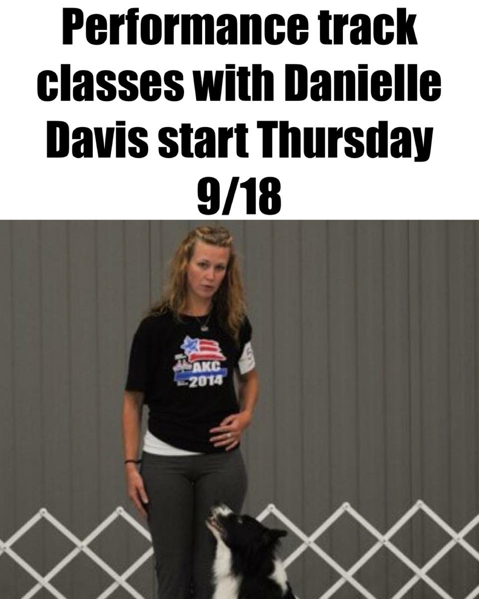 Lucky Dog Academy Plainfield