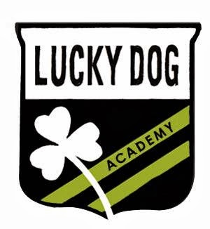 Lucky Dog Academy Plainfield