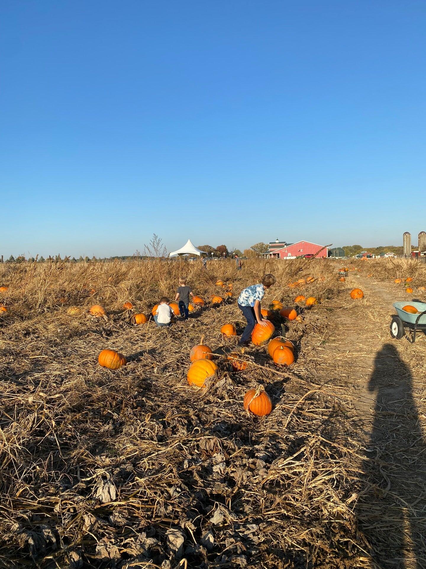 Photo credit: nextdoor