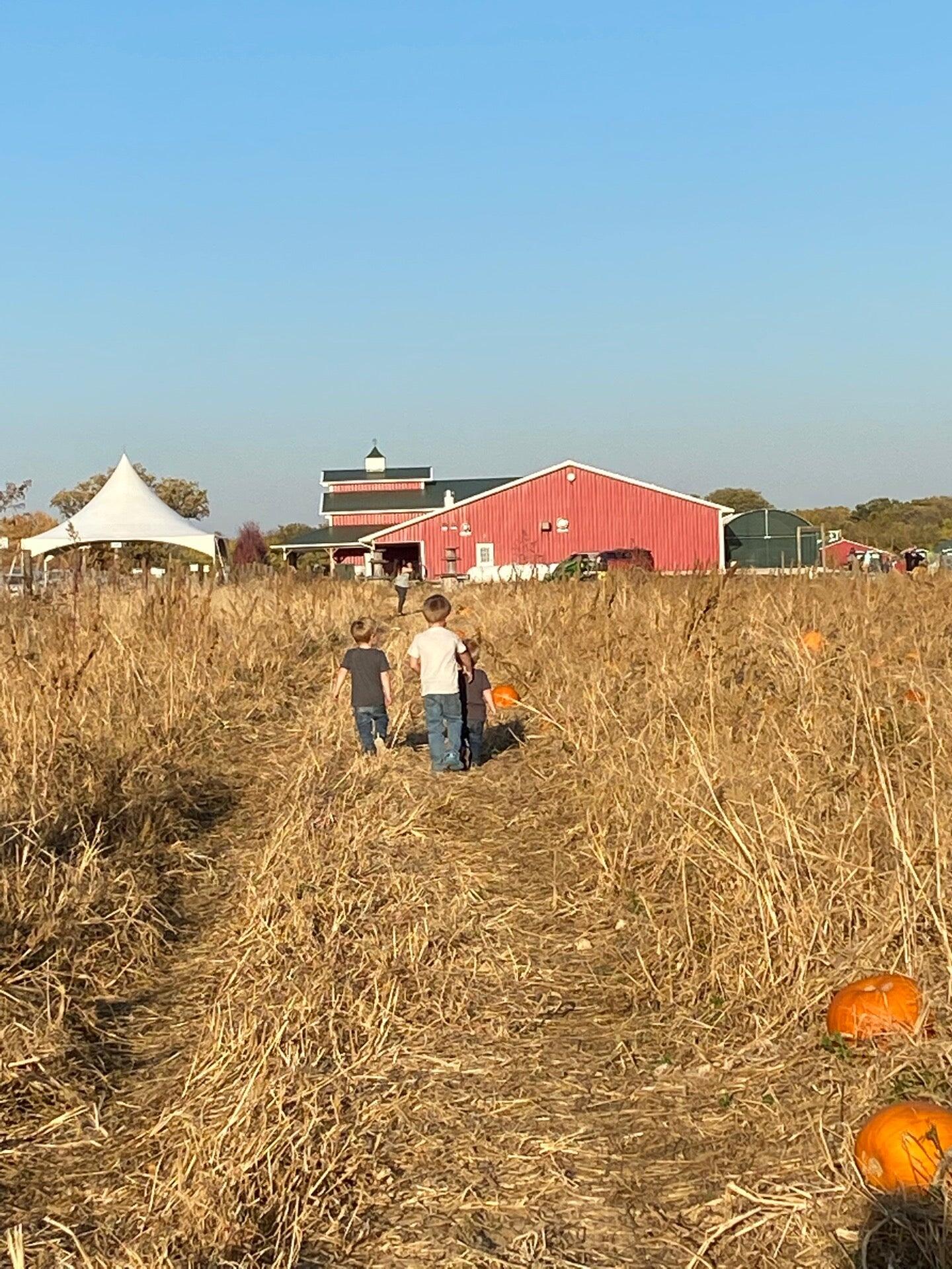 Photo credit: nextdoor