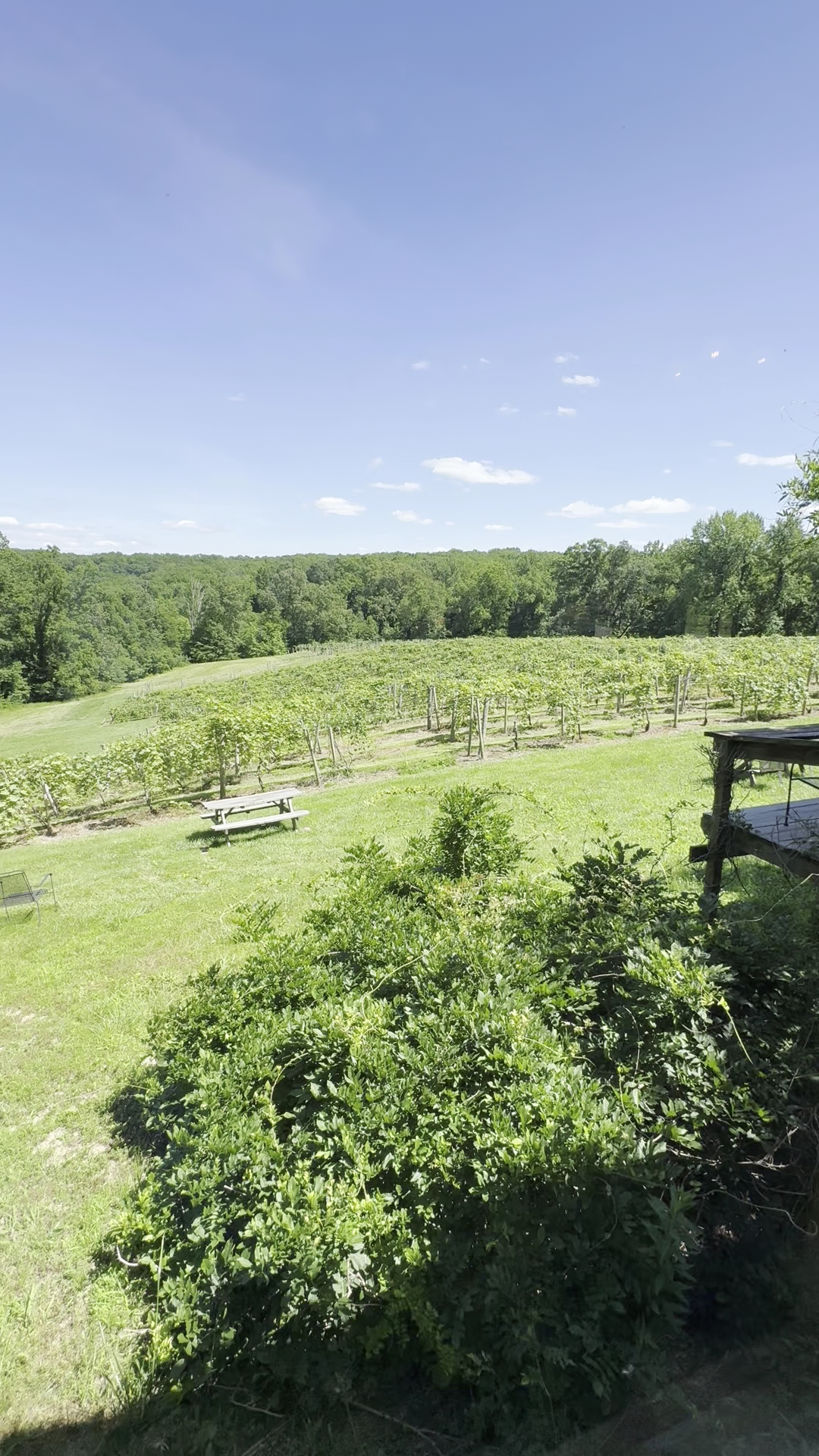 Hickory Ridge Vineyard and Winery Menu