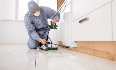 Elite Termite & Pest Control