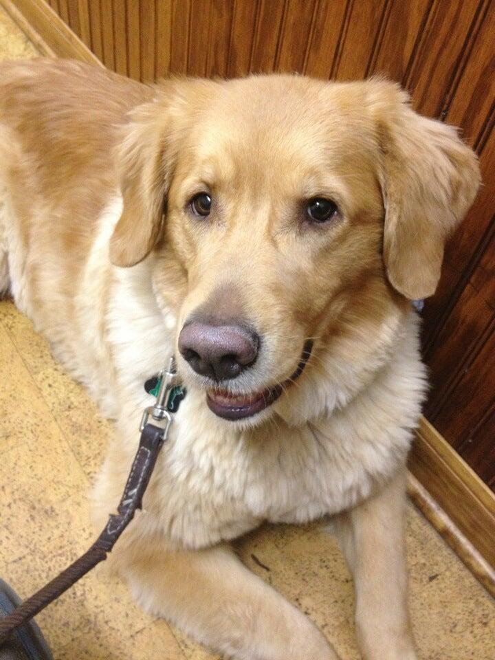 Richmond Veterinary Clinic Richmond