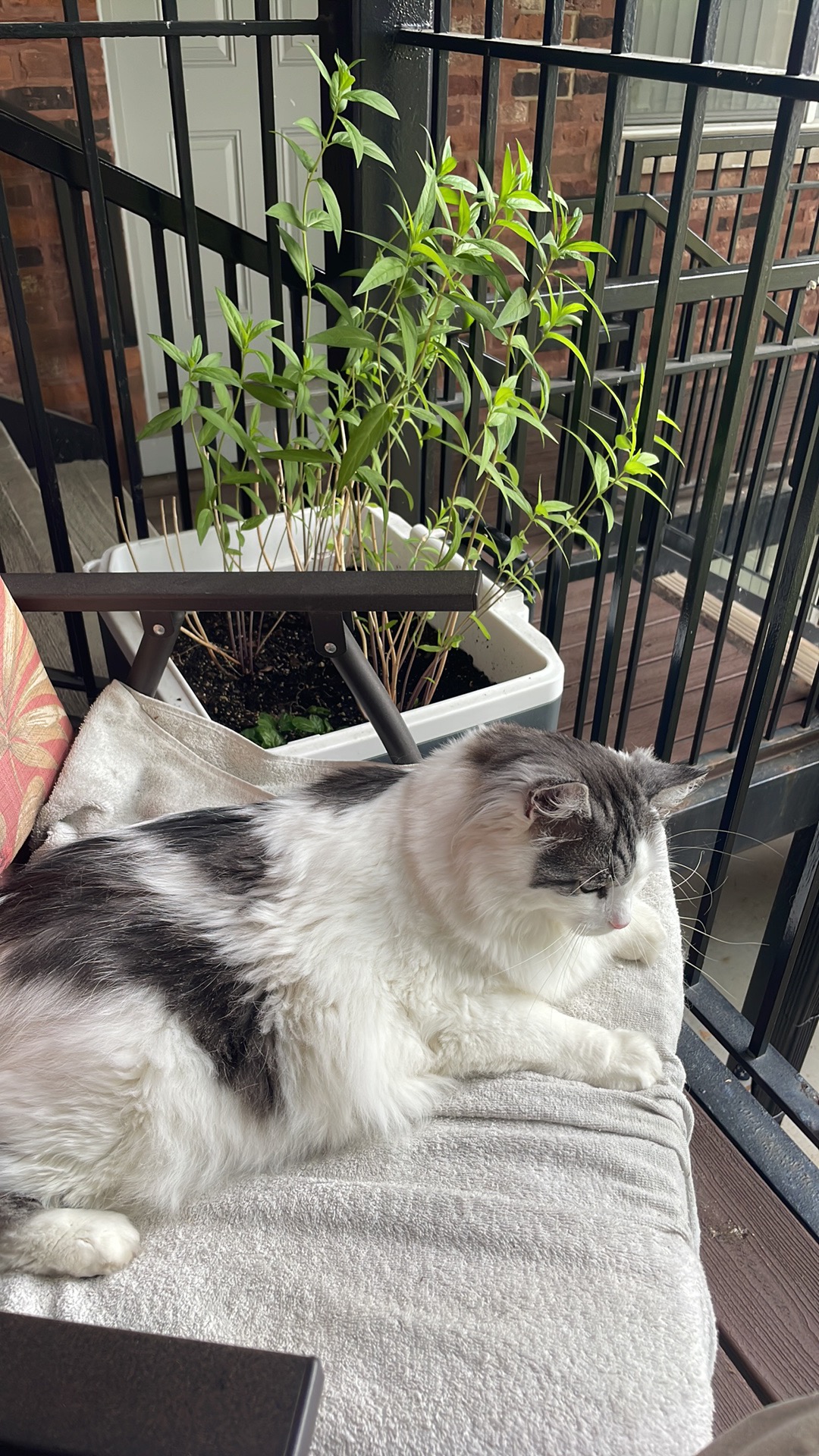 Richmond Veterinary Clinic Richmond