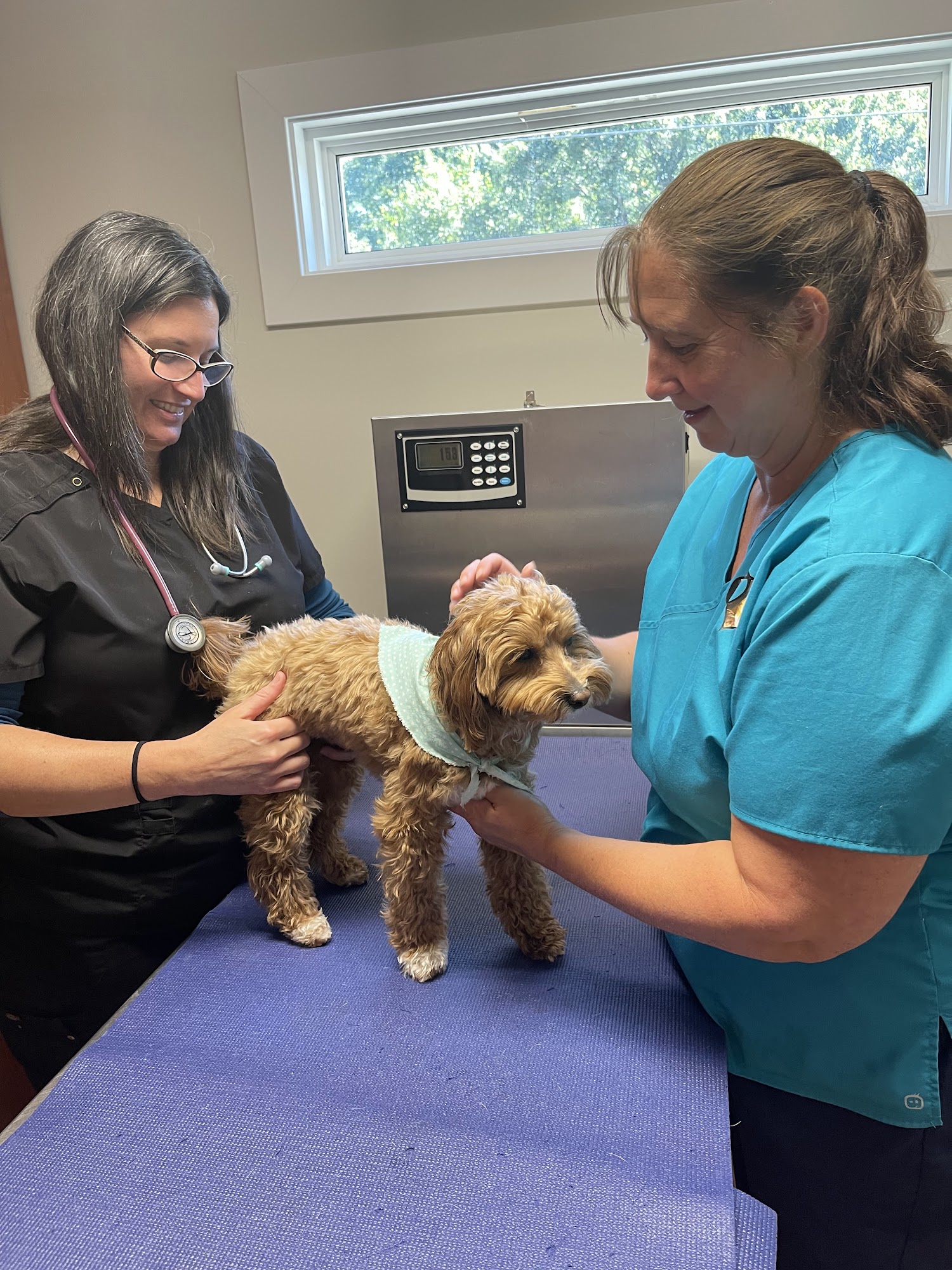Lakeview Veterinary Care Richmond