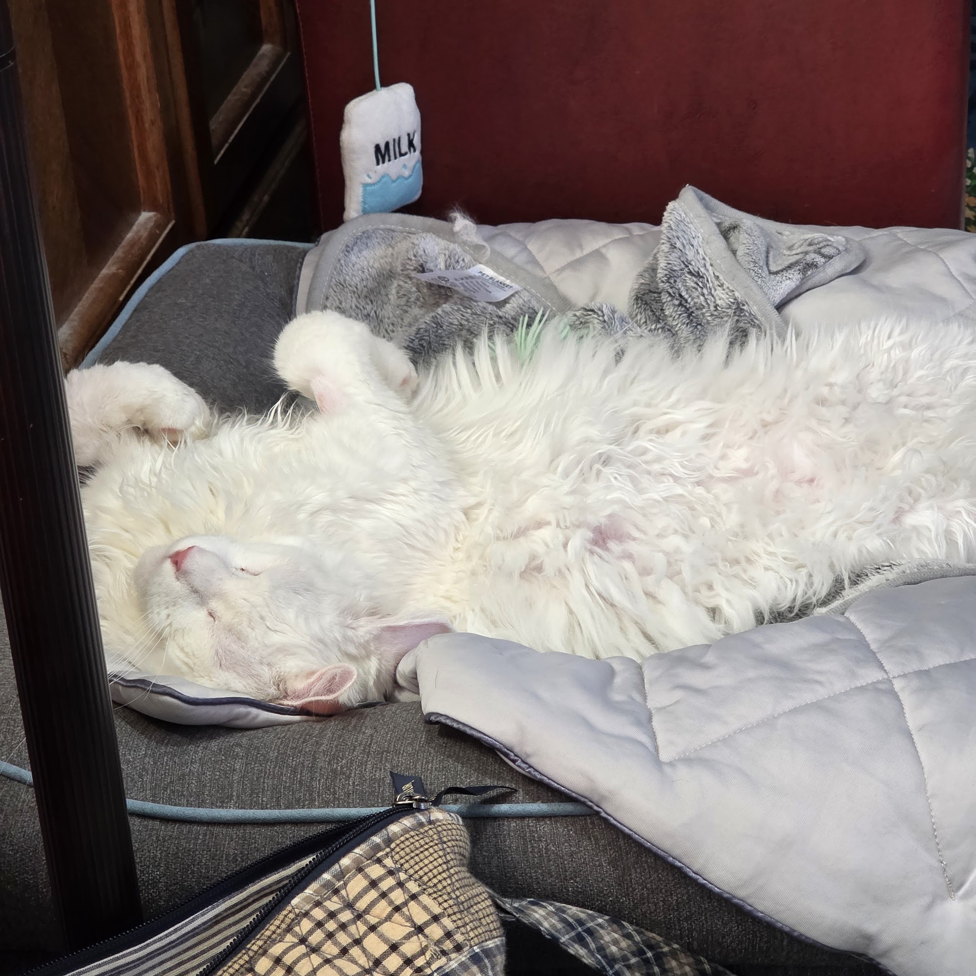 Lakeview Veterinary Care Richmond