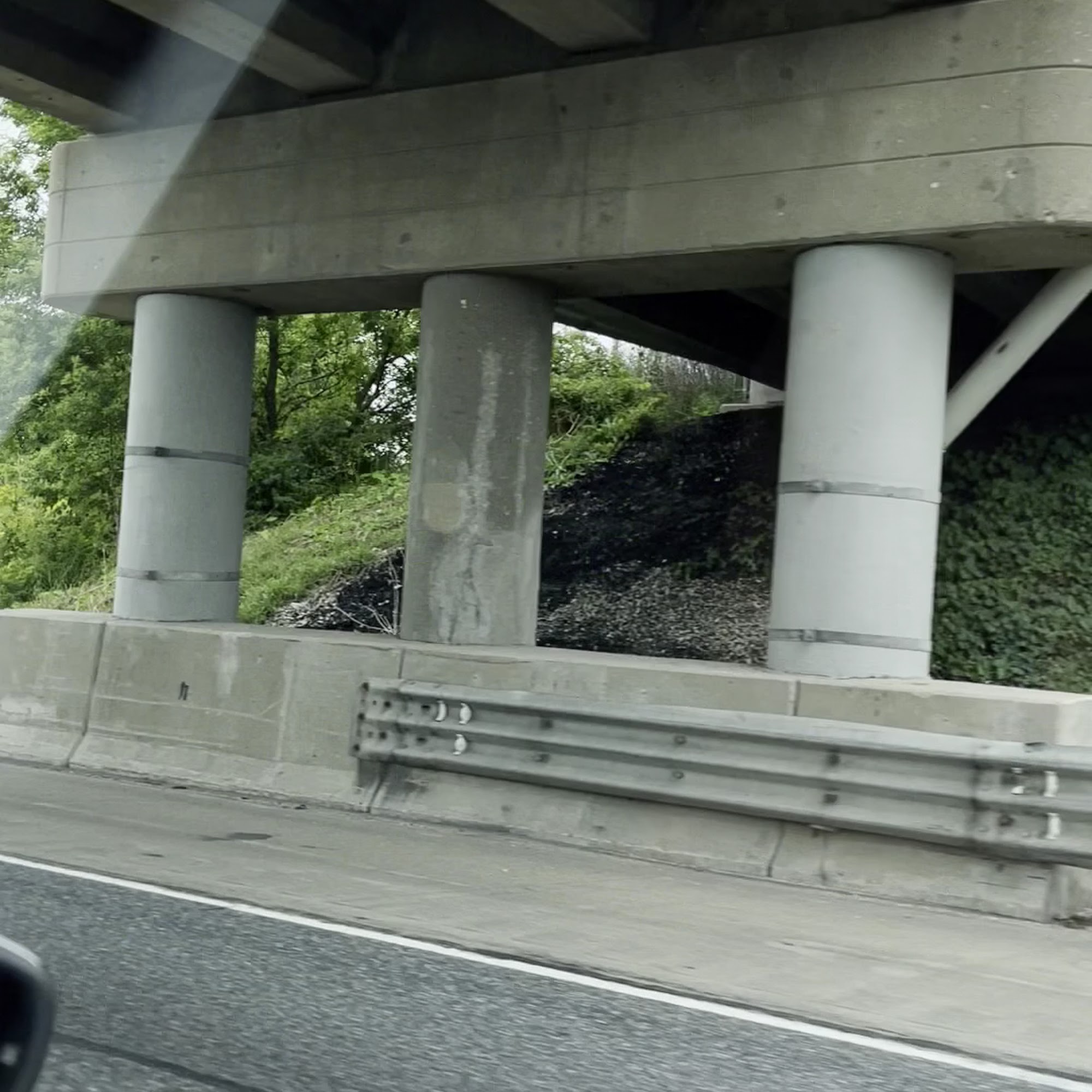 Bellwood Animal Hospital Rockford