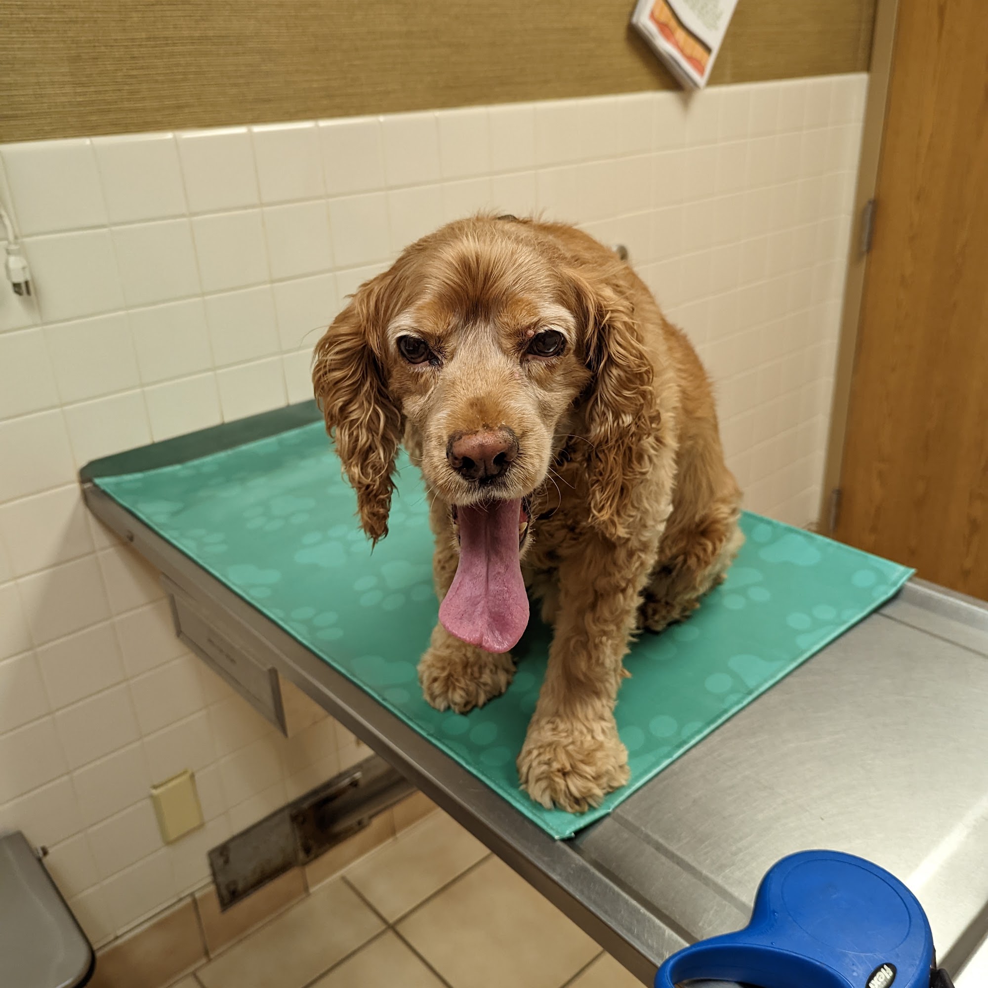 Hillcrest Animal Hospital Rockford